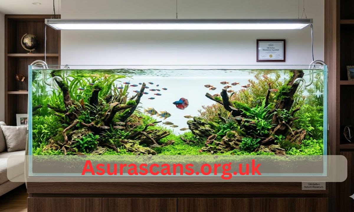 100 Gallon Fish Tank