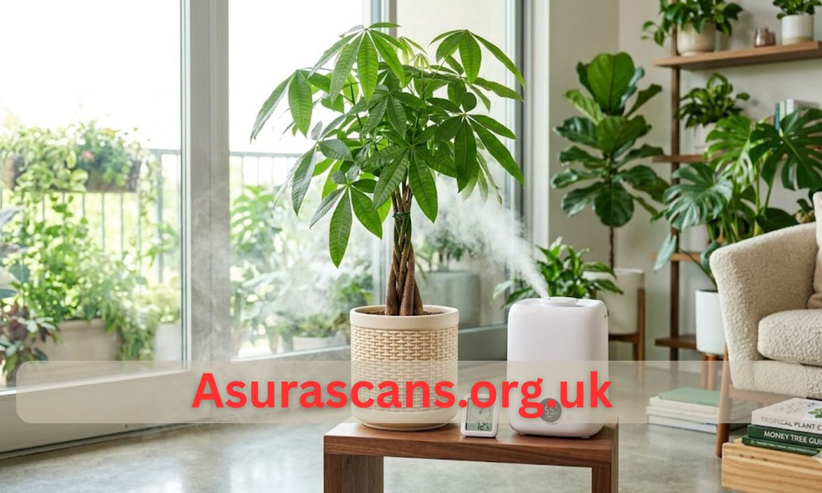 Humidifier for Money Tree